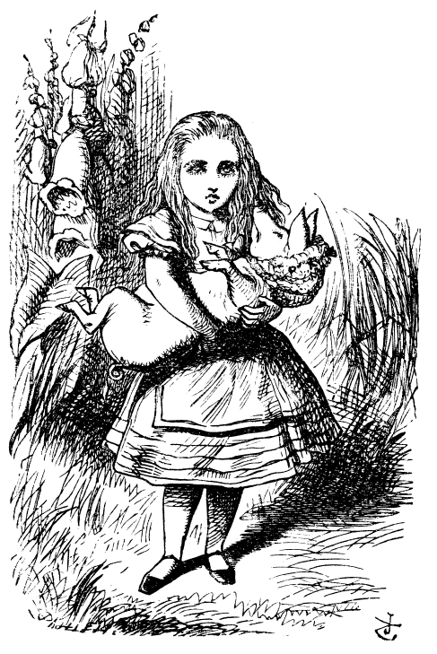 John Tenniel's illustration of Alice and the pig from Alice's Adventures in Wonderland (1865)