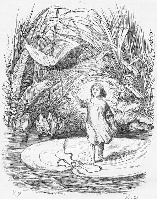 Thumbelina: Illustration by Vilhelm Pedersen, Andersen's first illustrator