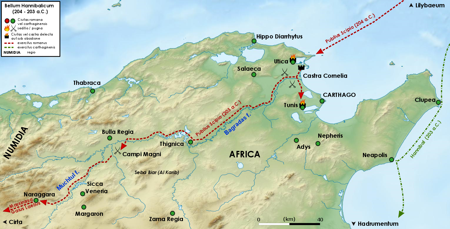 Publius Cornelius Scipio's military campaign in Africa (204–203 B.C.)